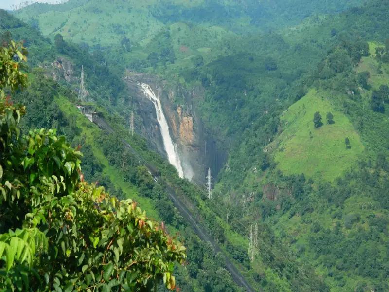 Siliguri to Gede Village Cab